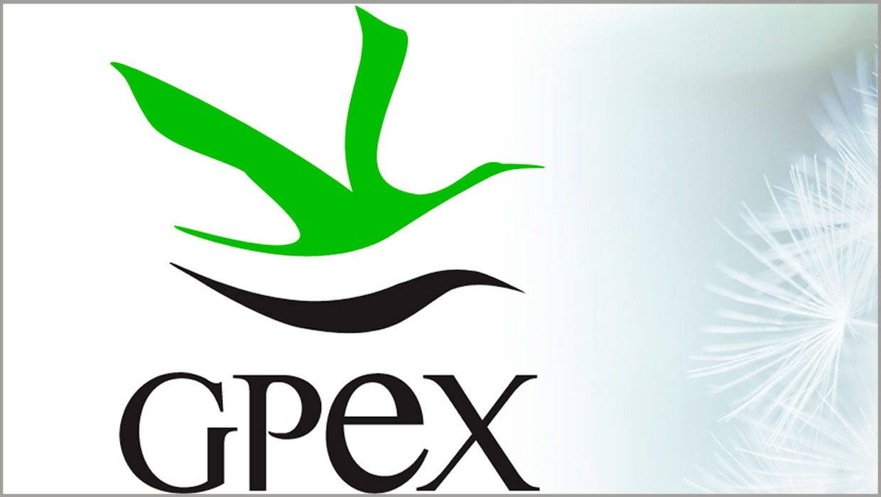 Logo_GPEX