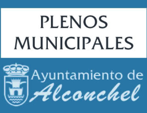 NOMBRAMIENTOS DE TENIENTES DE ALCALDE, DELEGACIONES DEL ALCALDE EN MIEMBROS DE LA CORPORACIÓN Y CONSTITUCIÓN JUNTA DE GOBIERNO LOCAL