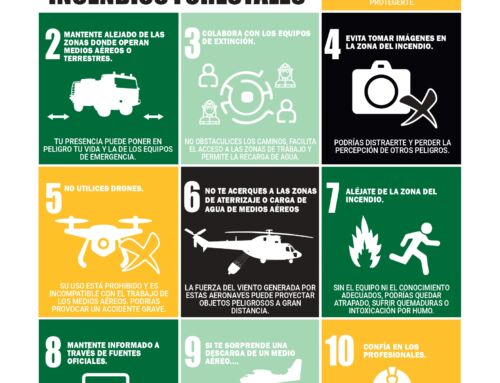 DECLARACIÓN ÉPOCA DE PELIGRO ALTO DE INCENDIOS FORESTALES EN EXTREMADURA 2025 Y RECOMENDACIONES DE SEGURIDAD PARA LA POBLACIÓN EN CASO DE INCENDIO FORESTAL